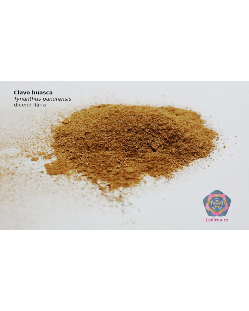 Clavo huasca | afrodisíaco natural, liana machacada