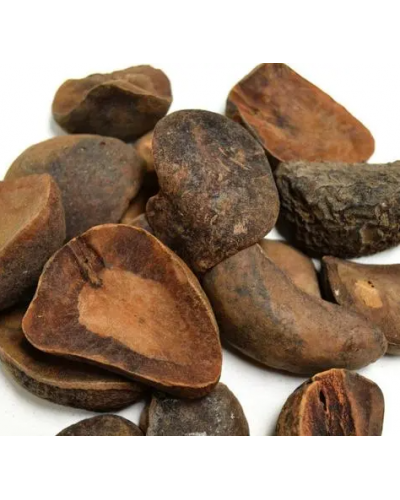 Nuez de cola entera (Cola acuminata), de Indonesia